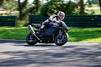 Middle Group Black Bikes